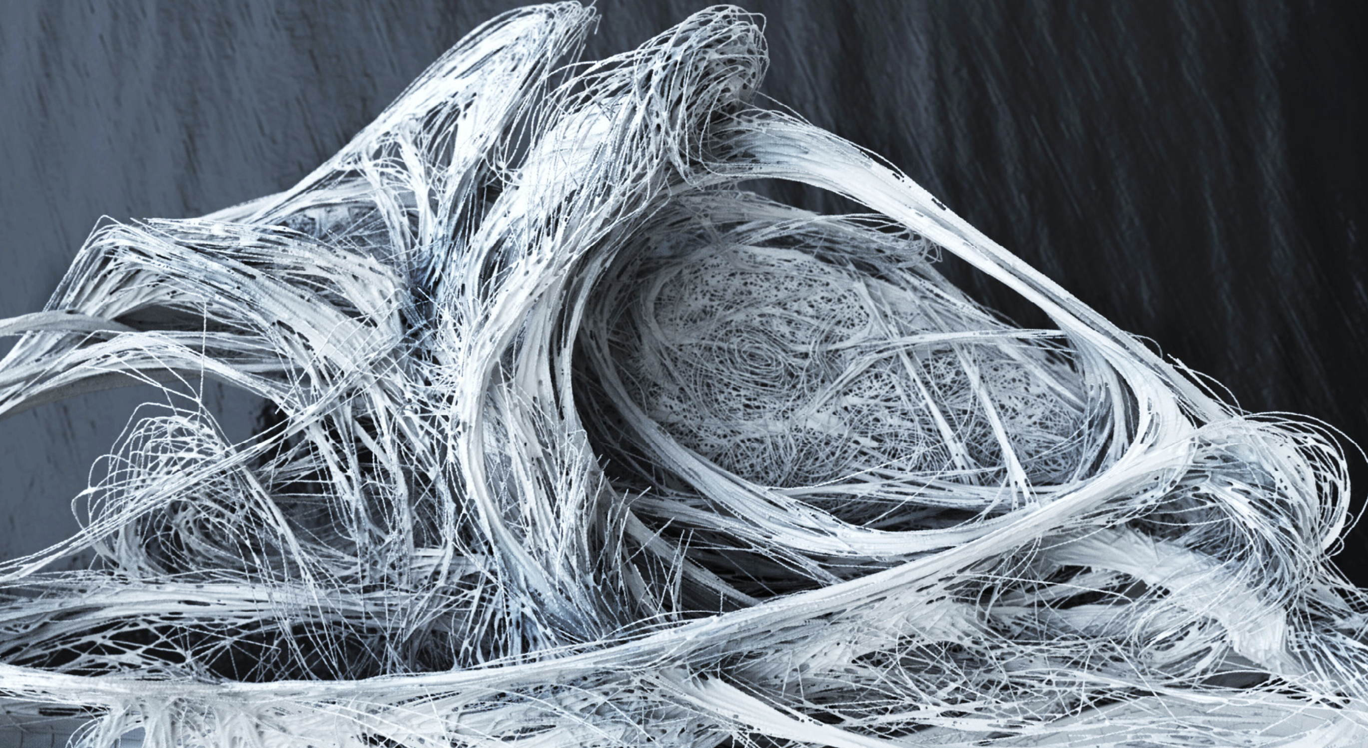 Interlacing Natures